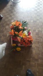 IMG_20250820_164050_887.jpg