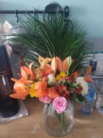 IMG_20250820_164810_870.jpg