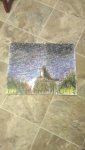 thumbnail_IMG_20190724_055201.jpg